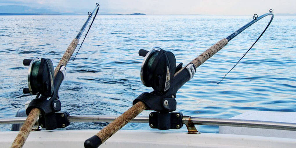 Fishing Rod vs Fishing Pole